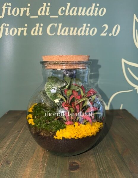 🌿 TERRARIUM DI PIANTE MISTE