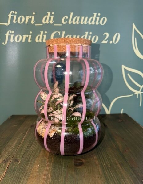 🌿 TERRARIUM DI PIANTE MISTE CON VASO IN VETRO RIGATO